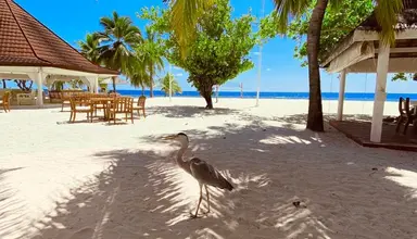 Diamonds Athuruga Beach & Water Villas