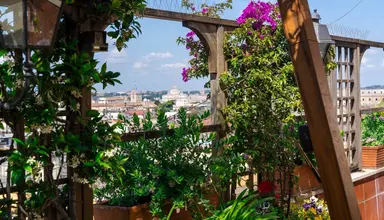 Diana Roof Garden