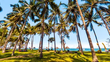 Diani Sea Lodge