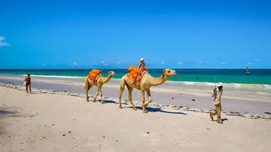 Diani Sea Resort