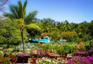 Diani Sea Resort