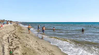 Dias