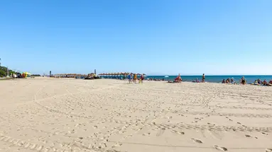 Dias