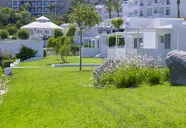 Dimitra Beach Hotel & Suites