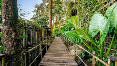 Dinso Resort & Villas Phuket