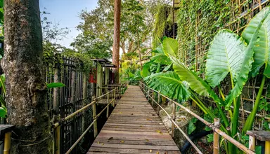 Dinso Resort & Villas Phuket