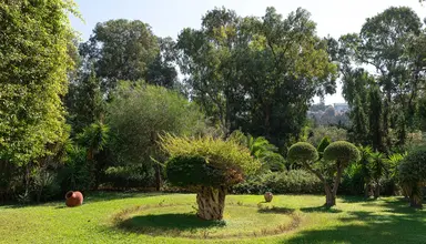 Dionysos