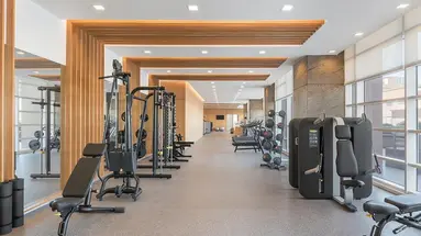 Discovery Primea