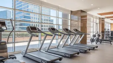 Discovery Primea