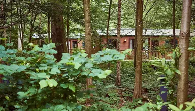Disney's Davy Crockett Ranch