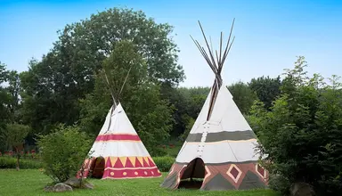 Disney's Davy Crockett Ranch