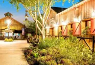 Disney's Davy Crockett Ranch