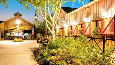 Disney's Davy Crockett Ranch