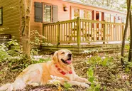 Disney's Davy Crockett Ranch