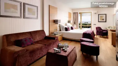 Divani Apollon Suites