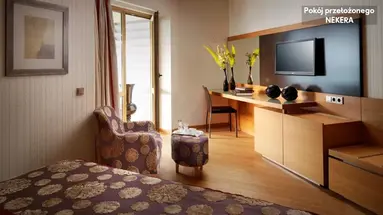 Divani Apollon Suites