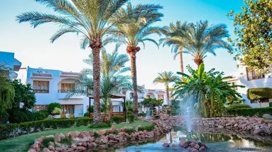 Dive Inn Resort