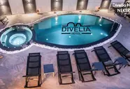 Divelia