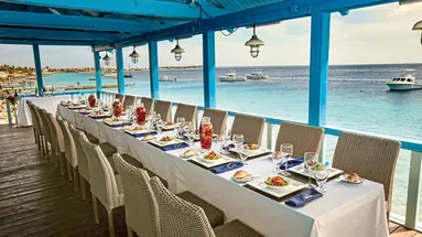 Divi Flamingo Beach Resort