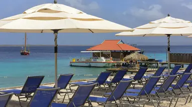 Divi Flamingo Beach Resort