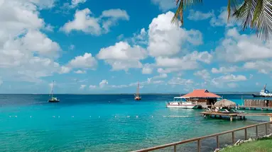 Divi Flamingo Beach Resort