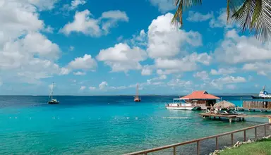 Divi Flamingo Beach Resort