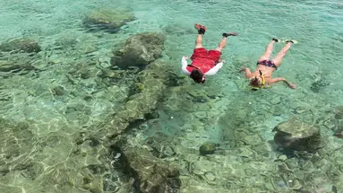 Divi Flamingo Beach Resort