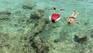 Divi Flamingo Beach Resort