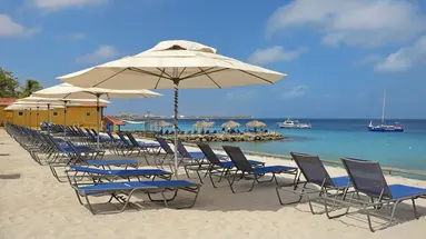 Divi Flamingo Beach Resort