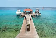 Divi Flamingo Beach Resort