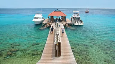 Divi Flamingo Beach Resort