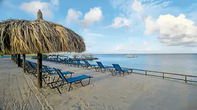 Divi Flamingo Beach Resort