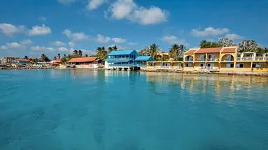 Divi Flamingo Beach Resort