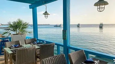Divi Flamingo Beach Resort
