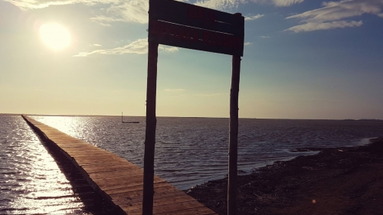 Divjaka Resort