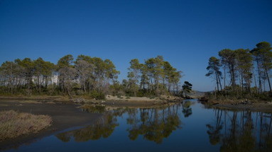 Divjaka Resort