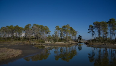 Divjaka Resort