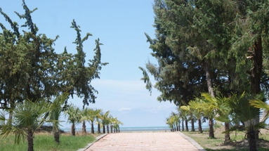 Divjaka Resort
