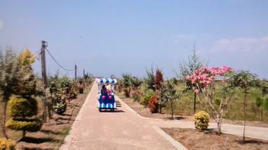 Divjaka Resort