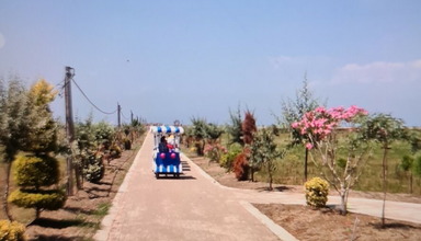 Divjaka Resort