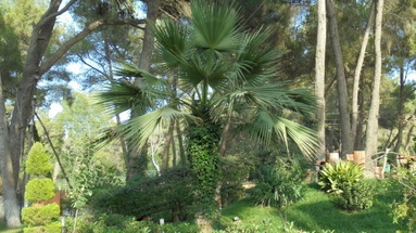 Divjaka Resort