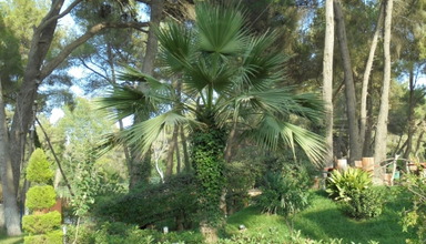 Divjaka Resort