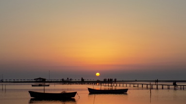 Divjaka Resort