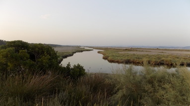 Divjaka Resort