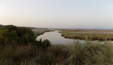 Divjaka Resort