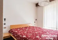Dolomia