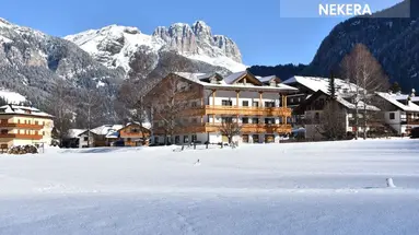 Dolomia