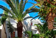Dolphin Apartments