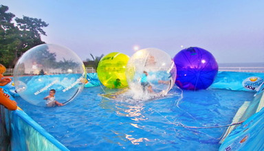 Dolphin Grand Varna