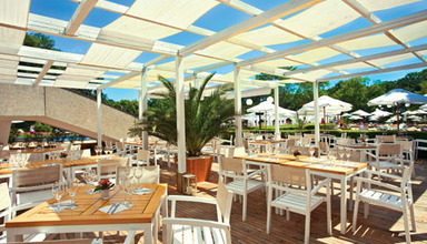 Dolphin Grand Varna